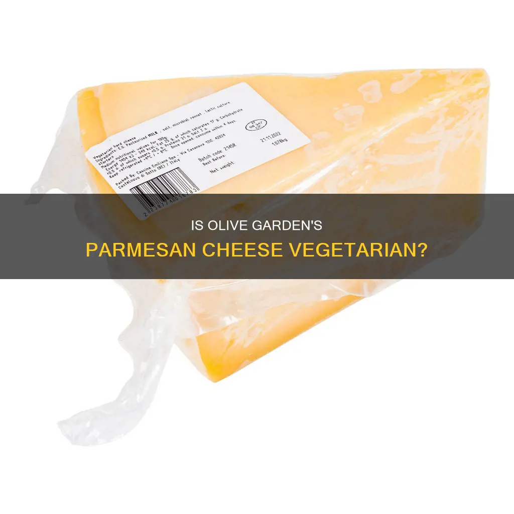 is olive garden parmesan cheese vegetarian