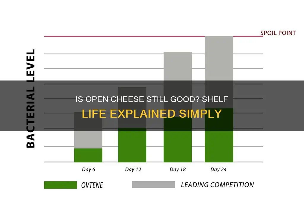 is open cheese good until the day