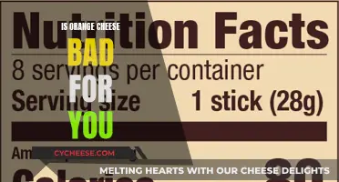 Orange Cheese: Healthy or Unhealthy?