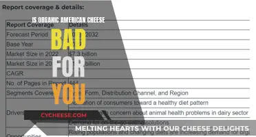 Organic American Cheese: Healthy or Harmful?