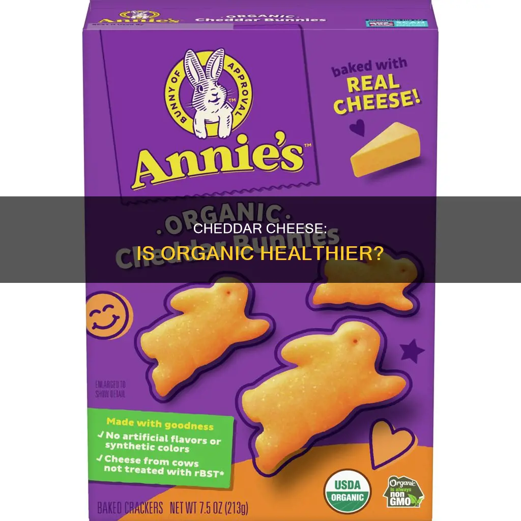 is organic cheddar cheese healthy