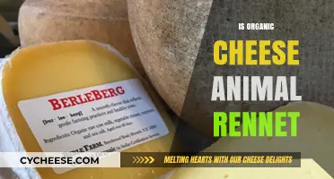 Is Organic Cheese Made with Animal Rennet? Uncovering the Truth