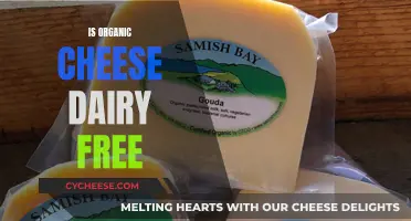 Organic Cheese: Dairy-Free or Not?