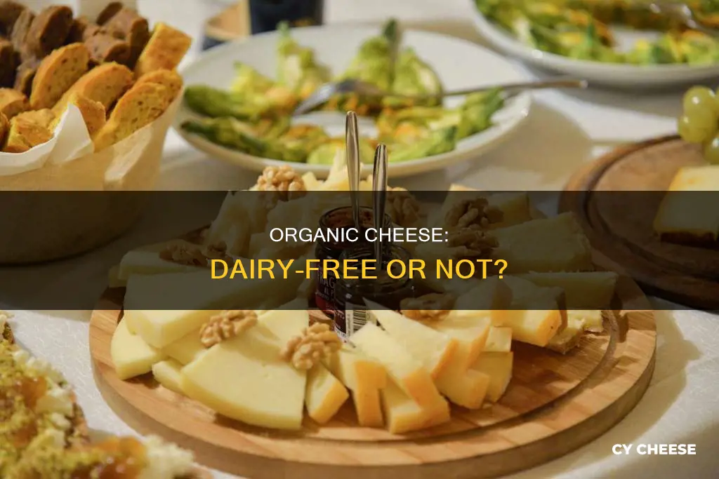 is organic cheese dairy free