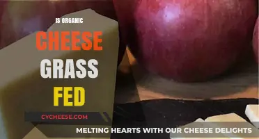 Is Organic Cheese Grass-Fed? Unraveling the Truth Behind the Label
