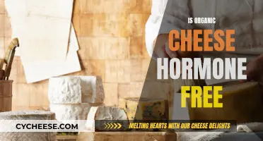 Organic Cheese: Hormone-Free and Healthy?