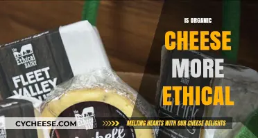 Is Organic Cheese More Ethical? Exploring Dairy Farming Practices