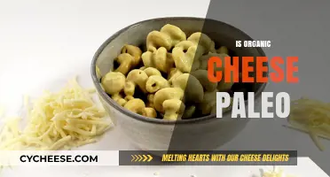 Is Organic Cheese Paleo? Unraveling the Dietary Debate