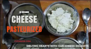 Organic Cheese Pasteurization: What You Need to Know