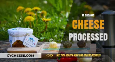 Is Organic Cheese Processed? Uncovering the Truth Behind the Label