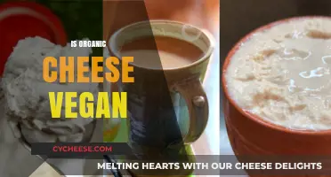 Is Organic Cheese Vegan? Unraveling the Dairy-Free Dilemma