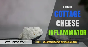 Is Organic Cottage Cheese Inflammatory? Uncovering the Truth for Your Diet