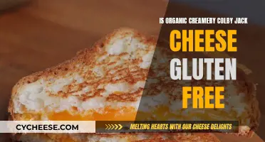 Colby Jack Cheese: Is It Gluten-Free?