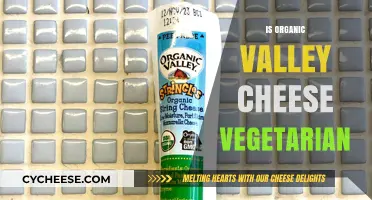 Is Organic Valley Cheese Vegetarian? A Comprehensive Guide for Vegans