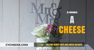 Organza vs. Cheese: Unraveling the Confusion Between Fabric and Dairy