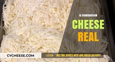Unraveling the Mystery: Is Oshkonoggin Cheese a Real Dairy Delight?