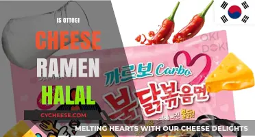 Is Ottogi Cheese Ramen Halal? Exploring Ingredients and Certification