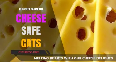 Parmesan Packets for Cats: Safe or Not?