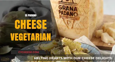 Is Padano Cheese Vegetarian? Uncovering the Truth for Veggie Lovers