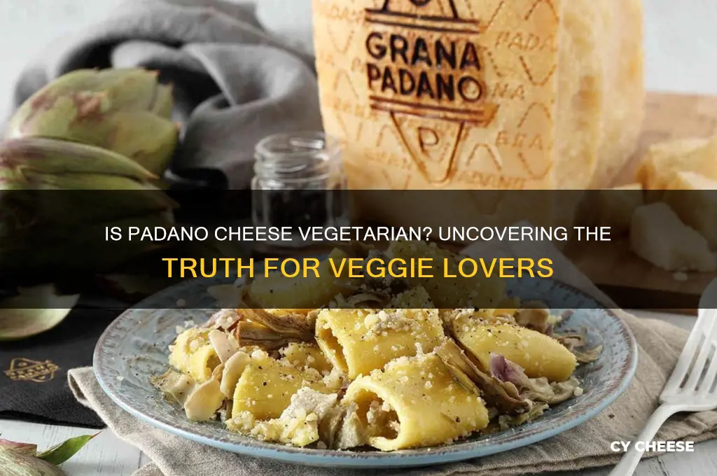 is padano cheese vegetarian