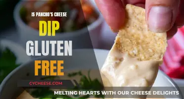 Gluten-Free Cheese Dip: Pancho's Secret