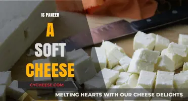 Is Paneer a Soft Cheese? Exploring Its Texture and Culinary Uses