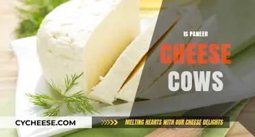 Is Paneer Cheese Made from Cows? Unraveling the Dairy Mystery