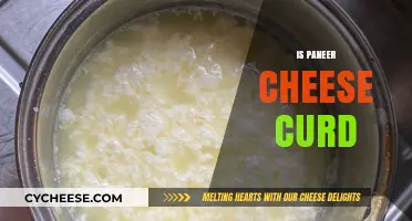 Paneer vs. Cheese Curd: Unraveling the Dairy Delicacy Differences