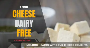 Is Paneer a Dairy-Free Cheese?