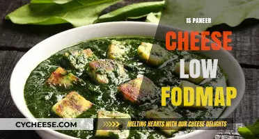 Is Paneer Cheese Low FODMAP? A Digestive-Friendly Dairy Guide
