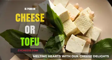 Paneer vs. Tofu: Understanding the Difference in Cheese and Plant-Based Protein