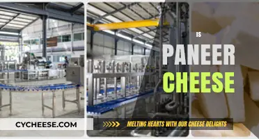 Is Paneer Cheese? Unraveling the Dairy Mystery in Indian Cuisine