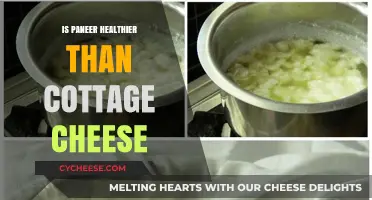 Paneer vs. Cottage Cheese: Which is the Healthier Choice?