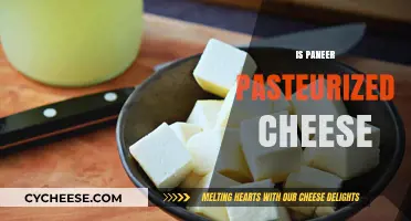 Is Paneer Pasteurized? Understanding the Cheese-Making Process