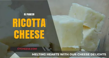 Paneer vs. Ricotta: Unraveling the Cheese Confusion and Differences