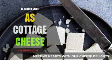 Paneer vs Cottage Cheese: Unraveling the Dairy Differences