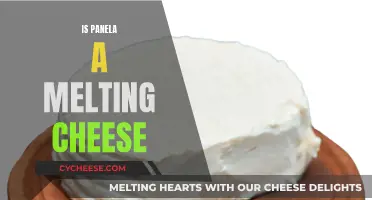 Panela: Melting Cheese or Not?