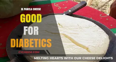 Panela Cheese and Diabetes: Benefits, Risks, and Healthy Eating Tips