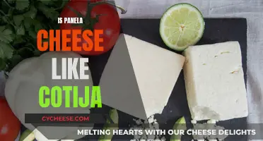 Panela and Cotija: Similarities and Differences in Cheese