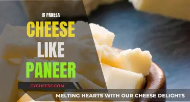 Panela and Paneer: Similar Cheeses, Different Origins