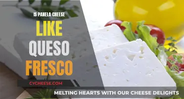 Panela and Queso Fresco: Similar Cheeses, Different Names