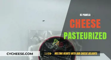 Is Panela Cheese Pasteurized? Understanding Its Production and Safety