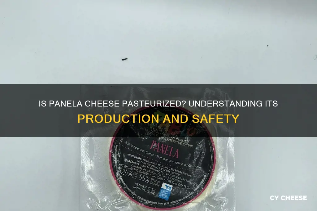 is panela cheese pasteurized