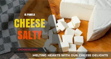 Is Panela Cheese Salty? Exploring Its Flavor Profile and Uses