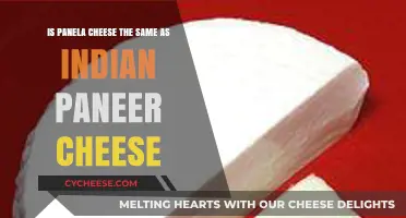 Panela vs. Paneer: Unraveling the Cheese Confusion and Differences