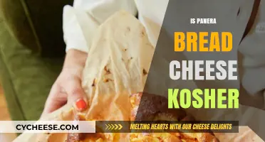 Is Panera Bread's Cheese Kosher? Exploring Ingredients and Certification