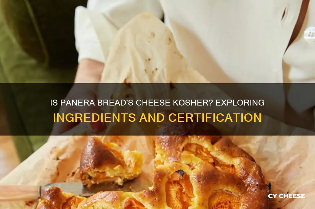 is panera bread cheese kosher
