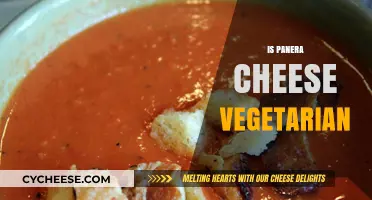 Is Panera Cheese Vegetarian? A Comprehensive Guide for Veggie Lovers