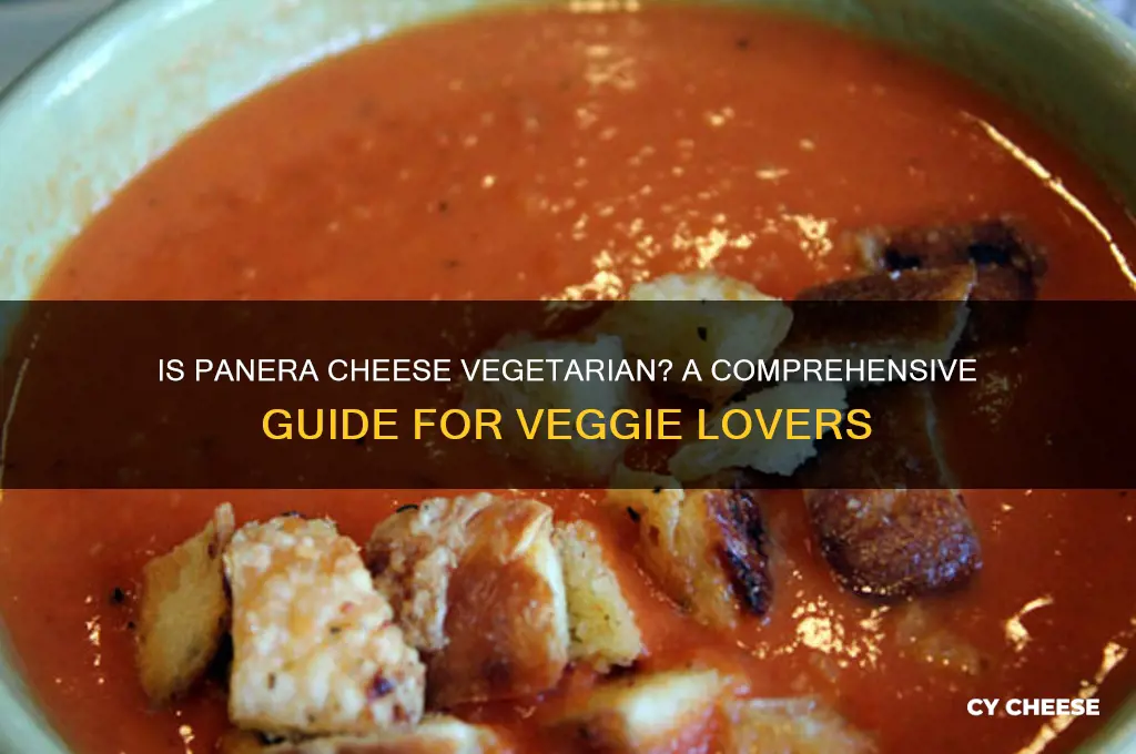 is panera cheese vegetarian