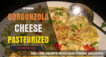 Is Panera's Gorgonzola Cheese Pasteurized? A Detailed Answer